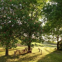 Отель Cascina Alberta Виньяле-Монферрато фото 4