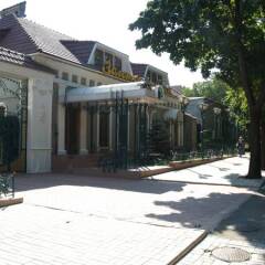 Гостиница Zolotoy Fazan фото 8