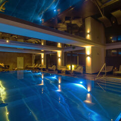 Hotel Bedriška Wellness Resort & Spa с домашними животными