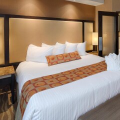 Отель Best Western Premier Freeport Inn Calgary Airport Канада, Калгари - отзывы, цены и фото номеров - забронировать отель Best Western Premier Freeport Inn Calgary Airport онлайн комната для гостей фото 3