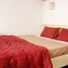 Tree House Hostel Далат комната для гостей