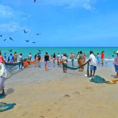 Отель Marigold Beach House пляж фото 2