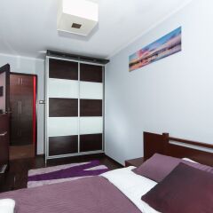 Отель Apartament Dream Loft Sliska Польша, Варшава - отзывы, цены и фото номеров - забронировать отель Apartament Dream Loft Sliska онлайн комната для гостей фото 2