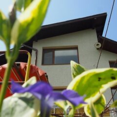 Отель Guest House Gerry Болгария, Балчик - отзывы, цены и фото номеров - забронировать отель Guest House Gerry онлайн фото 32