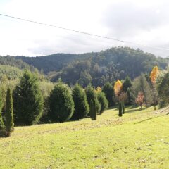 Отель San Miguel de Txorierri Испания, Дерио - отзывы, цены и фото номеров - забронировать отель San Miguel de Txorierri онлайн приотельная территория фото 2