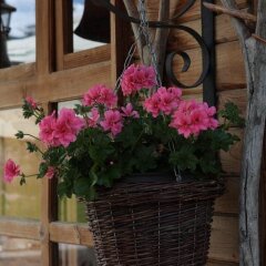 Отель Gela & Spa Болгария, Чепеларе - отзывы, цены и фото номеров - забронировать отель Gela & Spa онлайн интерьер отеля