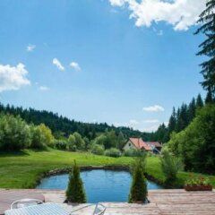 Crossline Lodge in Gheorgheni, Romania from 81$, photos, reviews - zenhotels.com outdoors photo 4
