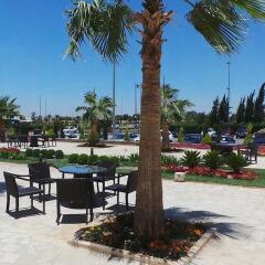Отель Amman Airport Hotel Иордания, Аль-Джиза - отзывы, цены и фото номеров - забронировать отель Amman Airport Hotel онлайн фото 4