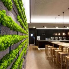 Neat Hotel Avenida Понта-Делгада развлечения