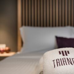 Апартаменты Trianon Luxury Apartments & Suites Греция, Ханья - отзывы, цены и фото номеров - забронировать отель Trianon Luxury Apartments & Suites онлайн комната для гостей фото 2