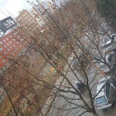 Отель Oda Hotel Tirana Албания, Тирана - отзывы, цены и фото номеров - забронировать отель Oda Hotel Tirana онлайн фото 3