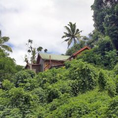 Отель Maravu Taveuni Lodge Фиджи, Остров Тавеуни - отзывы, цены и фото номеров - забронировать отель Maravu Taveuni Lodge онлайн фото 10
