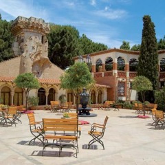 Hotel Termes Montbrio фото 17