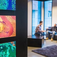Отель Antwerp Central Youth Hostel Бельгия, Антверпен - отзывы, цены и фото номеров - забронировать отель Antwerp Central Youth Hostel онлайн интерьер отеля