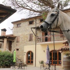 Отель Agriturismo Il Monte Монтоне