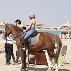 Отель Coral Beach Resort Египет, Хургада - 10 отзывов об отеле, цены и фото номеров - забронировать отель Coral Beach Resort онлайн приотельная территория фото 2