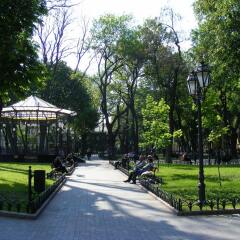Апартаменты Odessa City Center Apartments Одесса спортивное сооружение