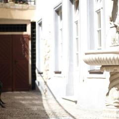 Отель Alchymist Prague Castle Suites фото 4