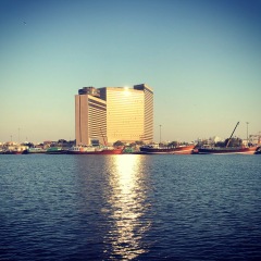 Отель Hyatt Regency Galleria Residence Дубай приотельная территория