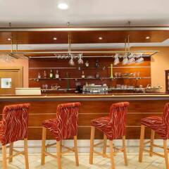 Ramada Airport Hotel Prague гостиничный бар