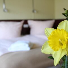 Hotel Dresden Domizil комната для гостей фото 3