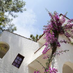 Ideal Panorama Hotel Турция, Мармарис - отзывы, цены и фото номеров - забронировать отель Ideal Panorama Hotel - All Inclusive онлайн помещение для мероприятий фото 2
