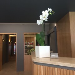 Отель Cityhotel Cristina Италия, Виченца - отзывы, цены и фото номеров - забронировать отель Cityhotel Cristina онлайн интерьер отеля фото 3