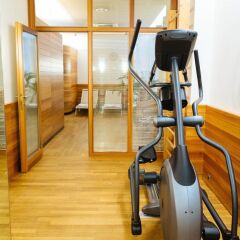 Отель K+K Hotel Maria Theresia Австрия, Вена - 3 отзыва об отеле, цены и фото номеров - забронировать отель K+K Hotel Maria Theresia онлайн фитнесс-зал фото 4