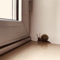 Hotel Arca Сполето удобства в номере фото 2