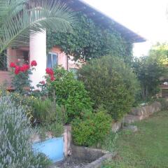 Отель Casale Vecchio Olivo B&B Дзагароло фото 2