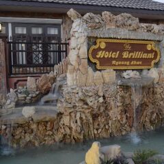 Hotel Brilliant с домашними животными