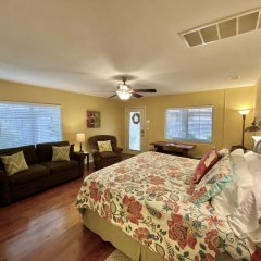 Comal Inn in New Braunfels, United States of America from 182$, photos, reviews - zenhotels.com guestroom photo 2