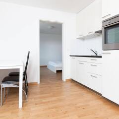 Апартаменты Apartments Swiss Star Ämtlerstrasse в номере фото 2