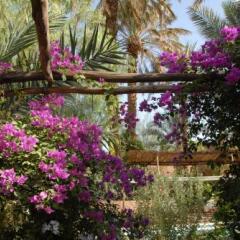 Отель Villa Zagora Ma Villa au Sahara Марокко, Загора - отзывы, цены и фото номеров - забронировать отель Villa Zagora Ma Villa au Sahara онлайн фото 9