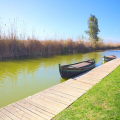 Отель Devesa Gardens Camping & Resort фото 3