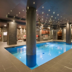 Отель Hôtel Avenue Lodge бассейн фото 2