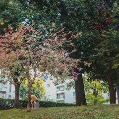 Отель IH Hotels Milano ApartHotel Argonne Park Италия, Милан - 2 отзыва об отеле, цены и фото номеров - забронировать отель IH Hotels Milano ApartHotel Argonne Park онлайн помещение для мероприятий