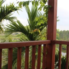 Отель Riverside Oasis Villa балкон