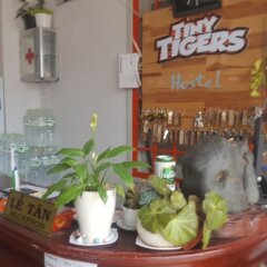 Отель Tiny Tigers Далат гостиничный бар