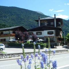 Hotel Edelweiss Форни-ди-Сопра фото 12