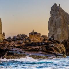 Отель Las Mananitas LM 3 Villa 3502 3 Bedroom Villa By Seaside Los Cabos Сан-Хосе-дель-Кабо приотельная территория