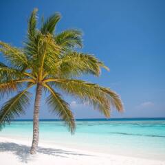 Отель Coco Palm Dhuni Kolhu пляж