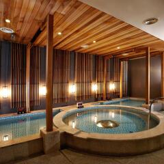 Отель Sheraton Seoul Palace Gangnam Hotel Южная Корея, Сеул - отзывы, цены и фото номеров - забронировать отель Sheraton Seoul Palace Gangnam Hotel онлайн бассейн