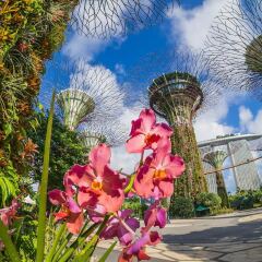 Отель Grand Hyatt Singapore Сингапур, Сингапур - 1 отзыв об отеле, цены и фото номеров - забронировать отель Grand Hyatt Singapore онлайн фото 11