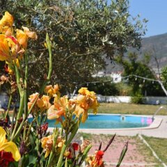 Urla Surf House Турция, Урла - отзывы, цены и фото номеров - забронировать отель Urla Surf House онлайн бассейн