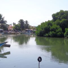 Hotel Star White Negombo