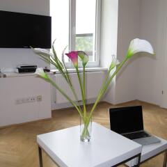 Отель Central Vienna-Living Premium Suite комната для гостей фото 2