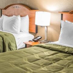 Отель Quality Inn & Suites Колумбус детские мероприятия фото 2