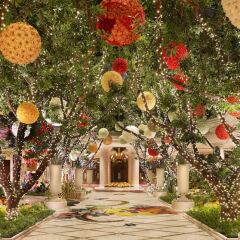 Отель Wynn Las Vegas Лас-Вегас фото 13