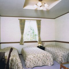 Отель Resort Inn White Silver Хакуба комната для гостей фото 2